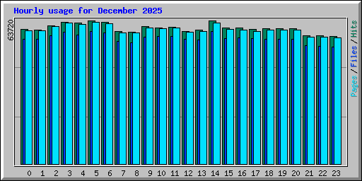 Hourly usage for December 2025