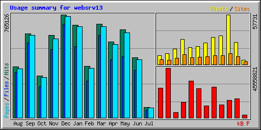 Usage summary for websrv13